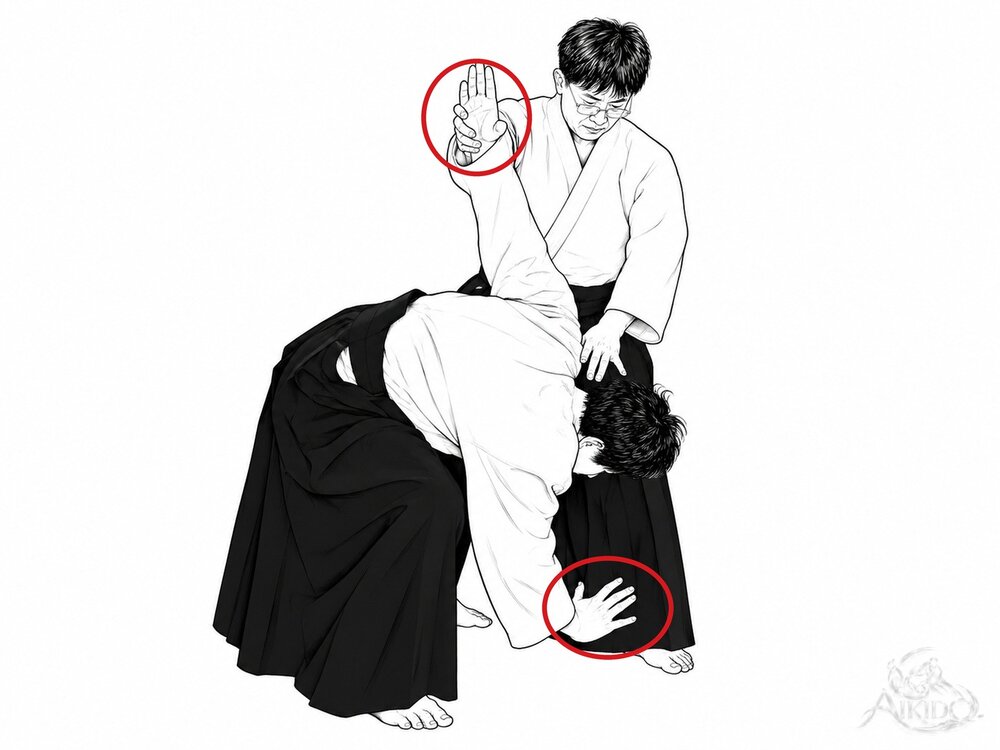한손 잡기 내회전 던지기의 요점 — 4. 위로 돌린 손으로 손목을 잡는다. 우케는 제압당하지 않은 손을 바닥에 댄다.