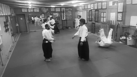 Training together at the dojo